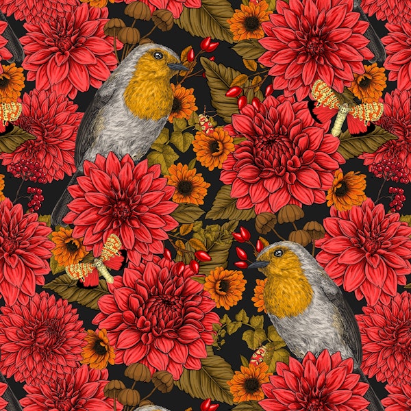 Robins in the garden 5