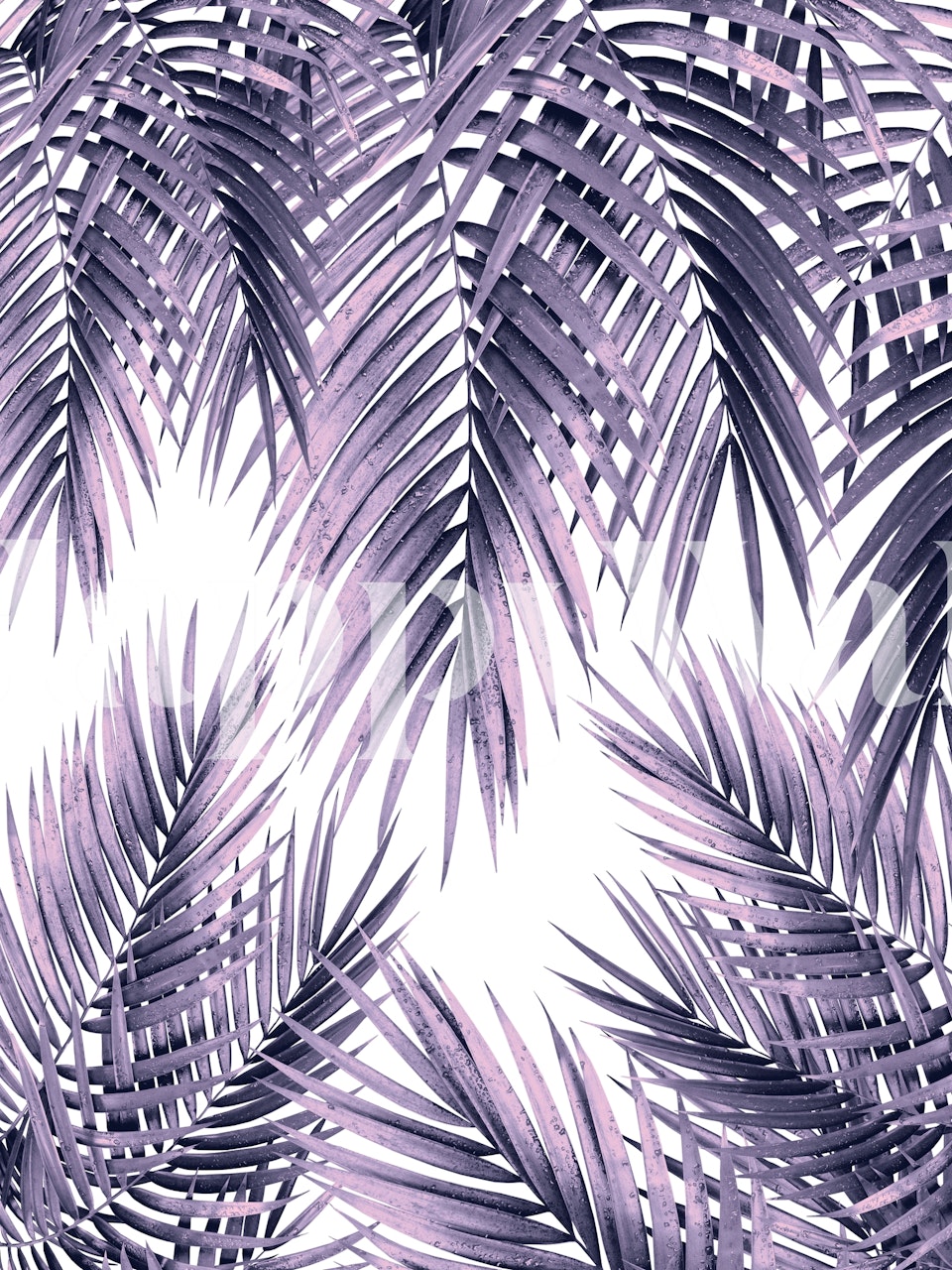 Palm Leaf Jungle Vibes tapet visad i ett rum