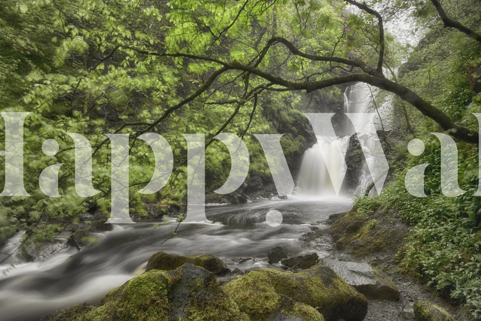 Carta da parati Scottish water fall in una stanza