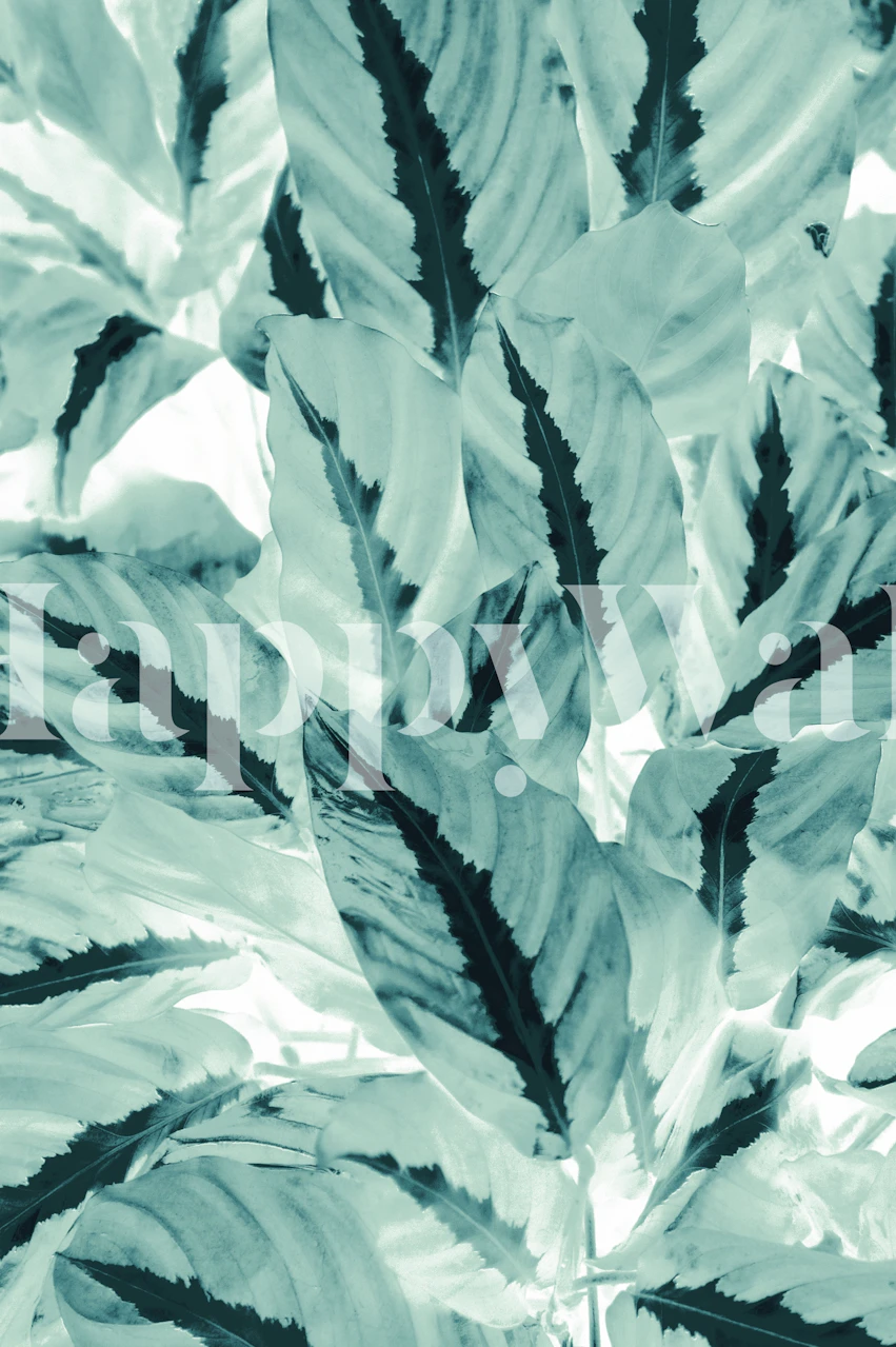 Tropical jungle leaves wallpaper in a room