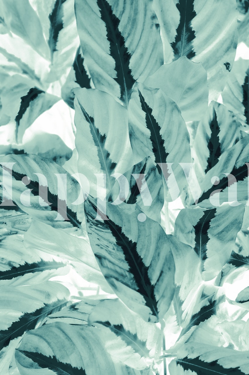 Tropical jungle leaves wallpaper in a room