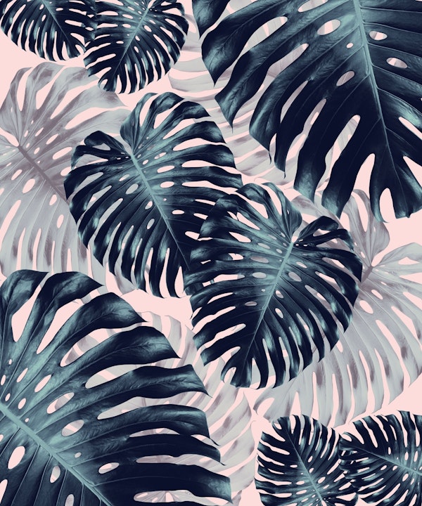 Tropical Monstera Jungle 2