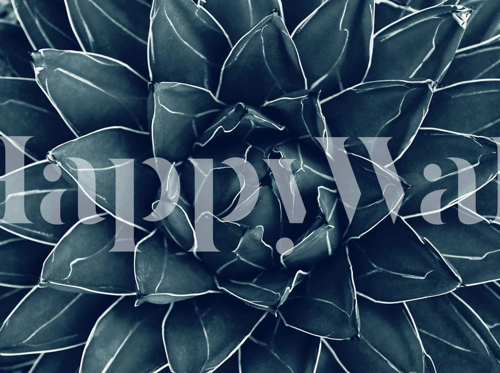 Mural de pared Agave Queen Succulent con texturas de hojas detalladas en tonos fríos