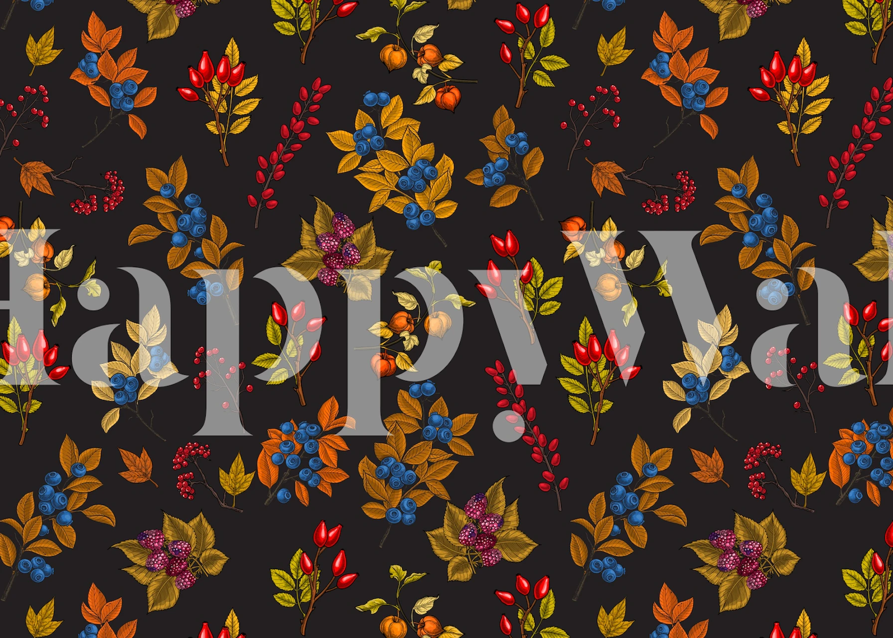 Colorful autumn berry branches on a dark background wallpaper