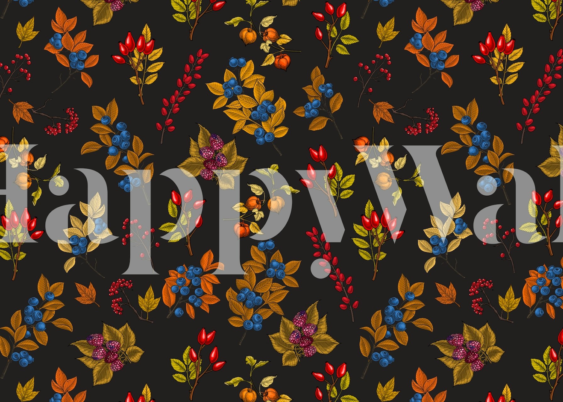 Colorful autumn berry branches on a dark background wallpaper