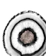 White Agate Rose Gold 1