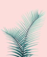 Intertwined Palm Leaves Love 2 papiers peint