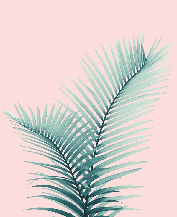 Intertwined Palm Leaves Love 2