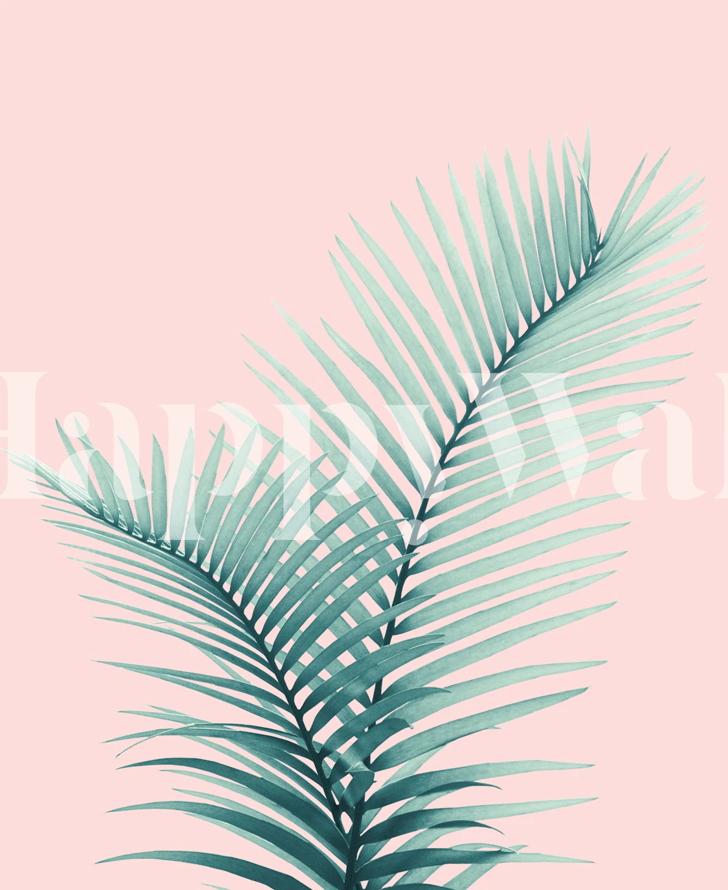 Two green palm leaves on soft pink background wallpaper