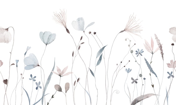 Wildflowers and herbs