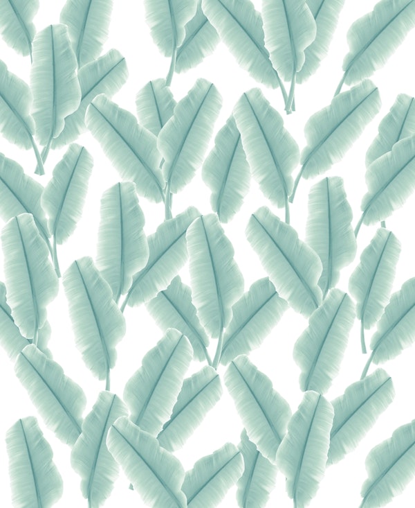 Tropical Banana Leaves 1