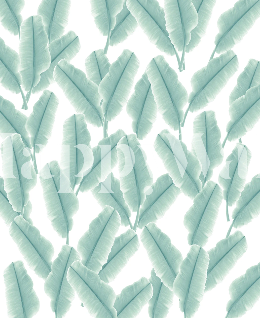 Tropical banana leaves wallpaper in soft teal tones on white background
