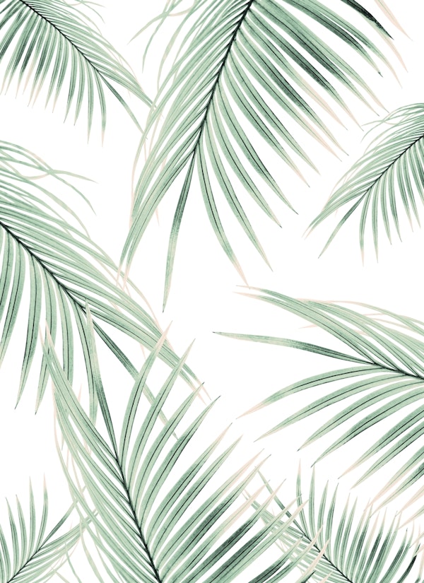 Green Palm Leaves Dream 3b