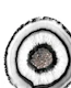 White Agate with Silver 1