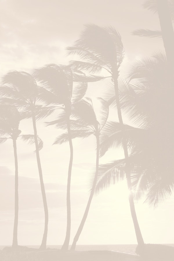 Sunset Palms Hawaii Beige