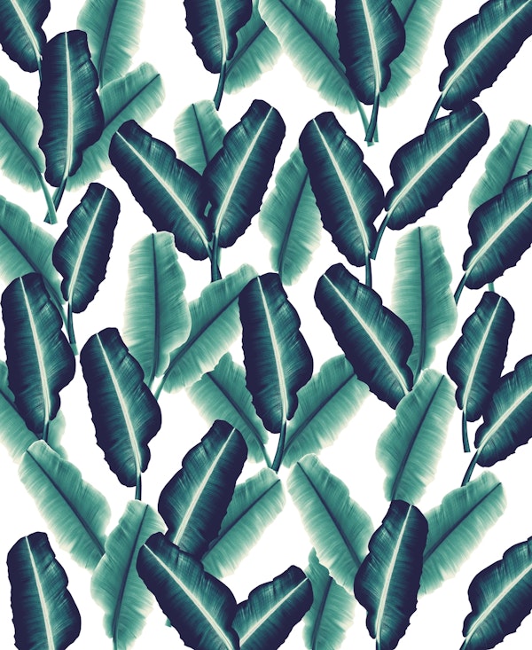 Tropical Banana Pattern 2