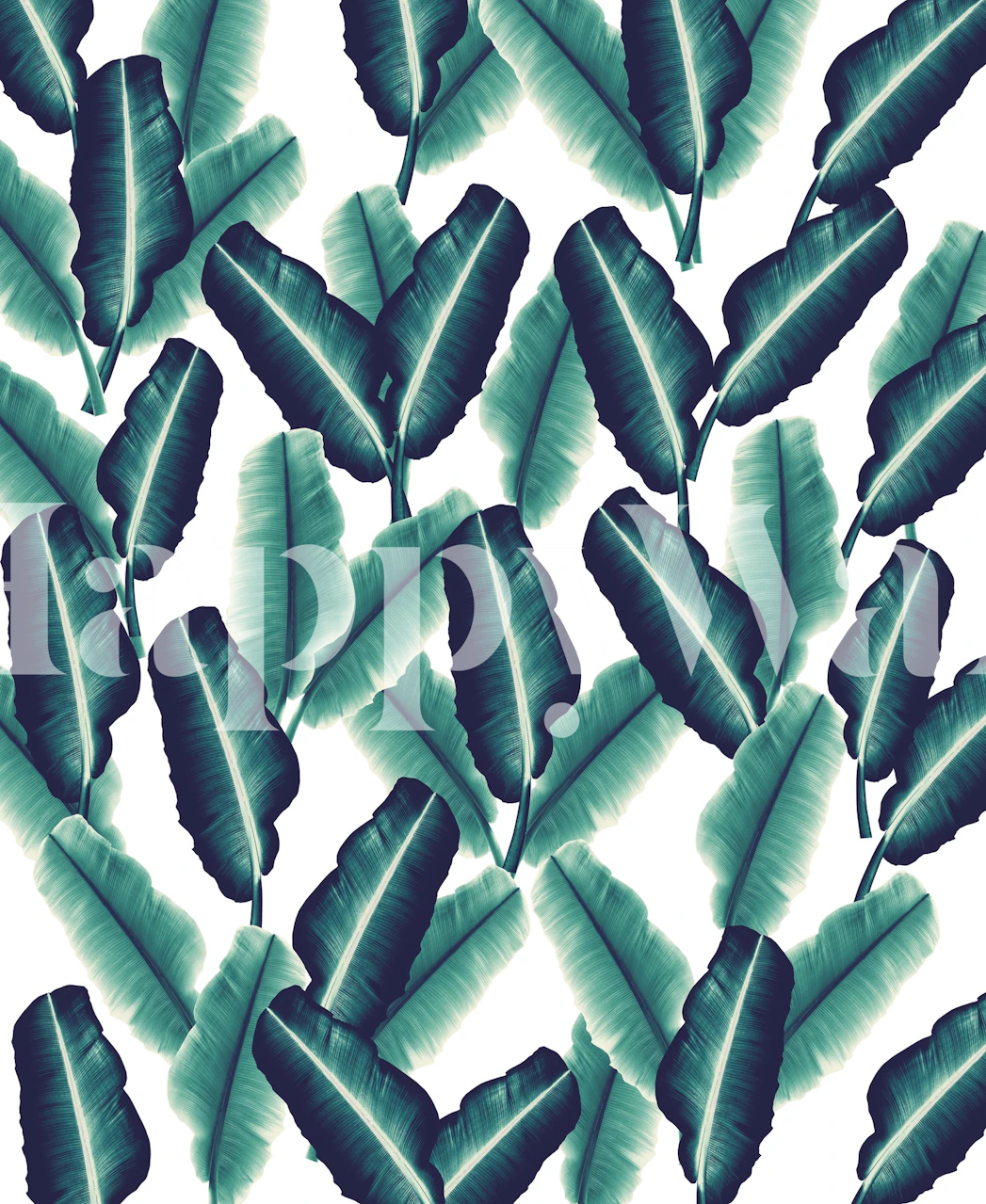 Tropical banana leaves tapet i et rum