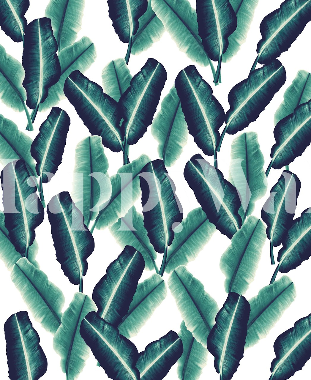 Tropical banana leaves wallpaper in a room