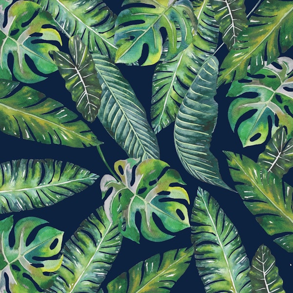Jungle Leaves Monstera Blue