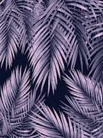 Palm Leaf Jungle Night 2 carta da parati