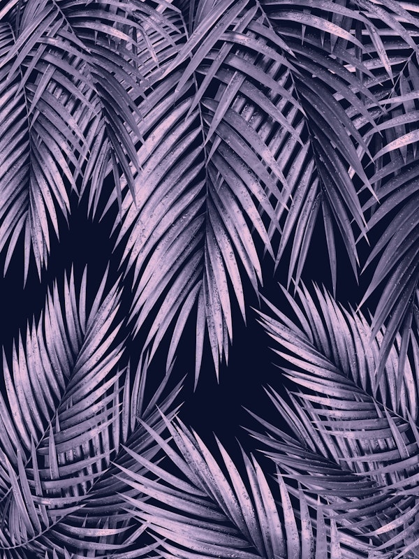 Palm Leaf Jungle Night 2