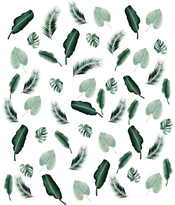 Tropical Jungle Leaf Pattern 2