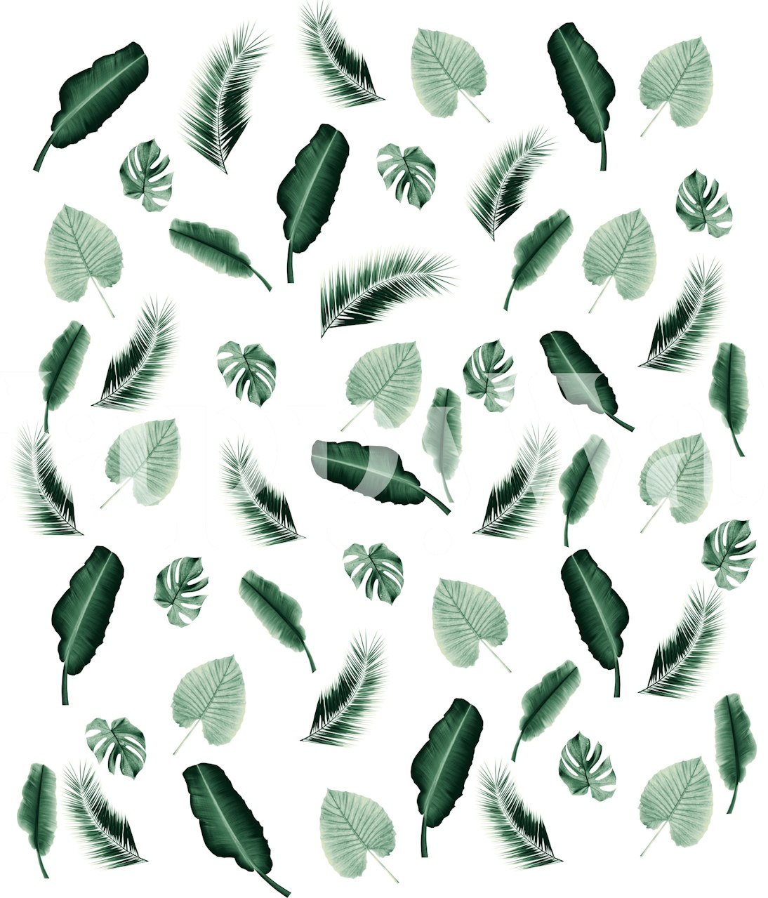 Papier peint mural sticker de feuilles de jungle tropicale assorties