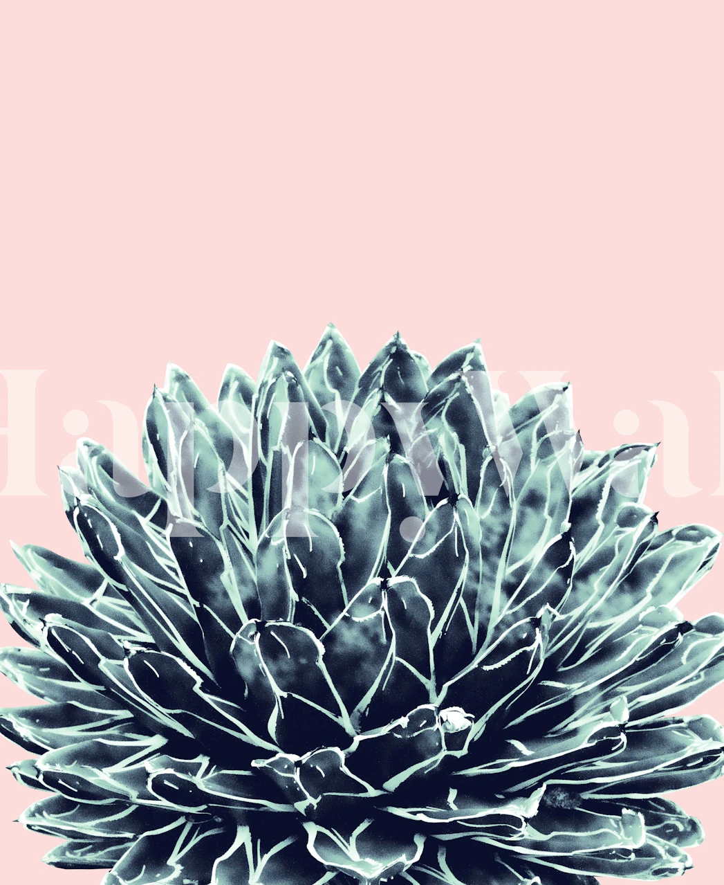 Blush Navy Blue Agave Chic 1 wallpaper in a room