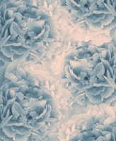 Blush Blue Peonies Dream 1 tapete