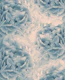 Blush Blue Peonies Dream 1