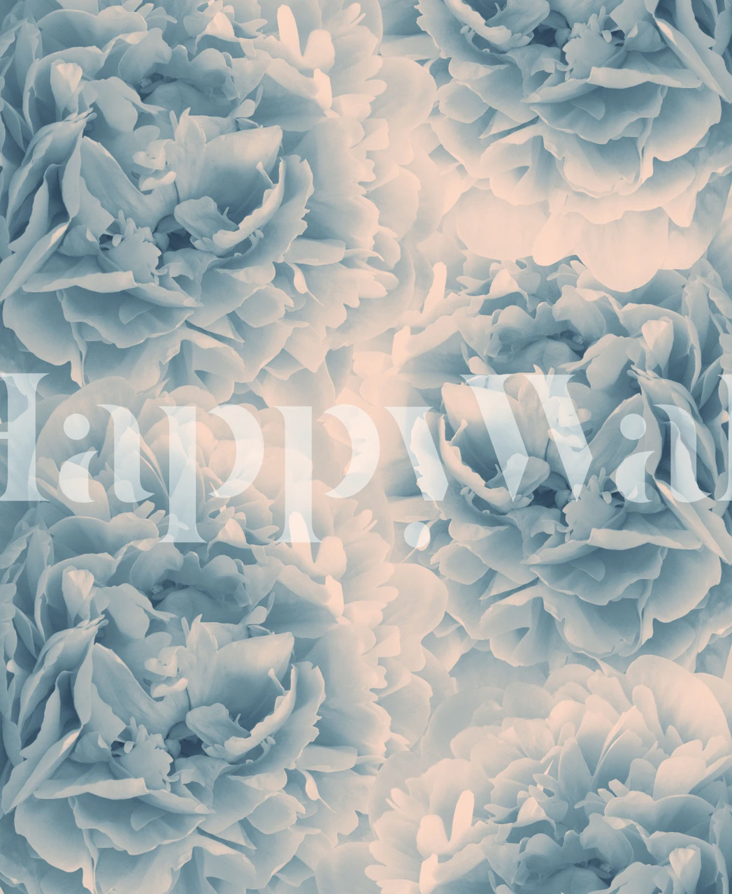 Large blush blue peonies floral wallpaper