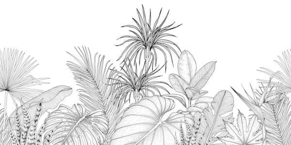 Tropical engraving