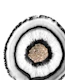 White Agate Gold Glitter 1