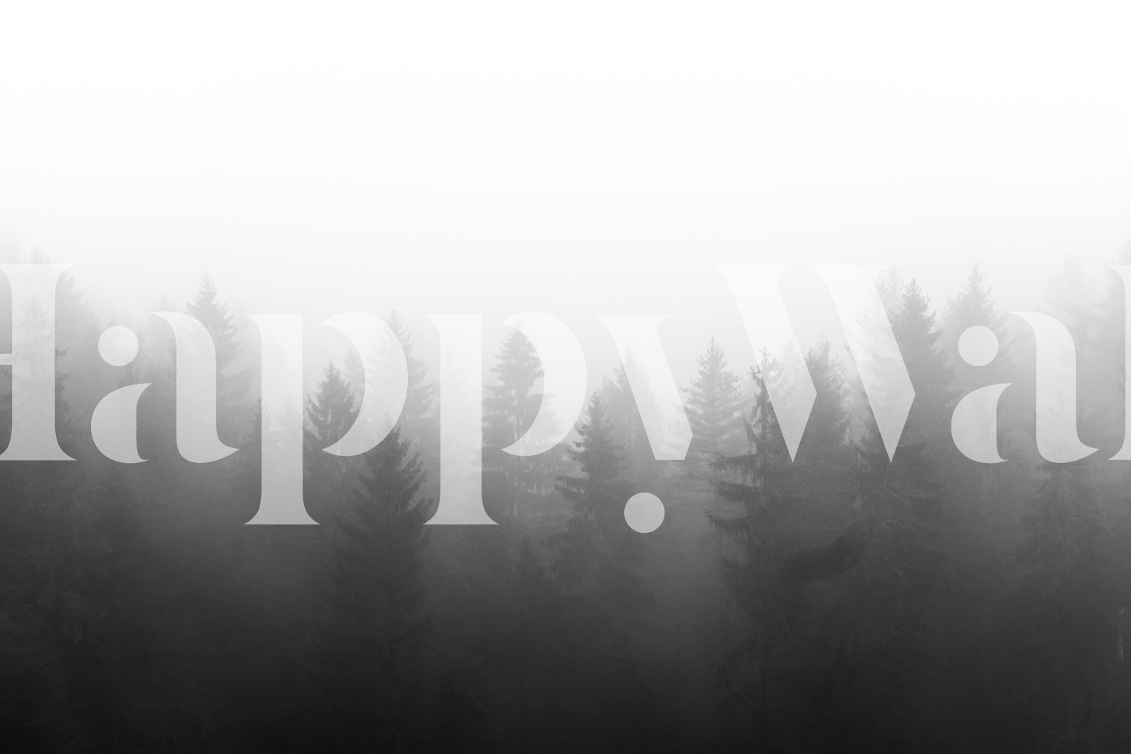 Forest Mural Wallpaper | Misty Black and White Sunrise