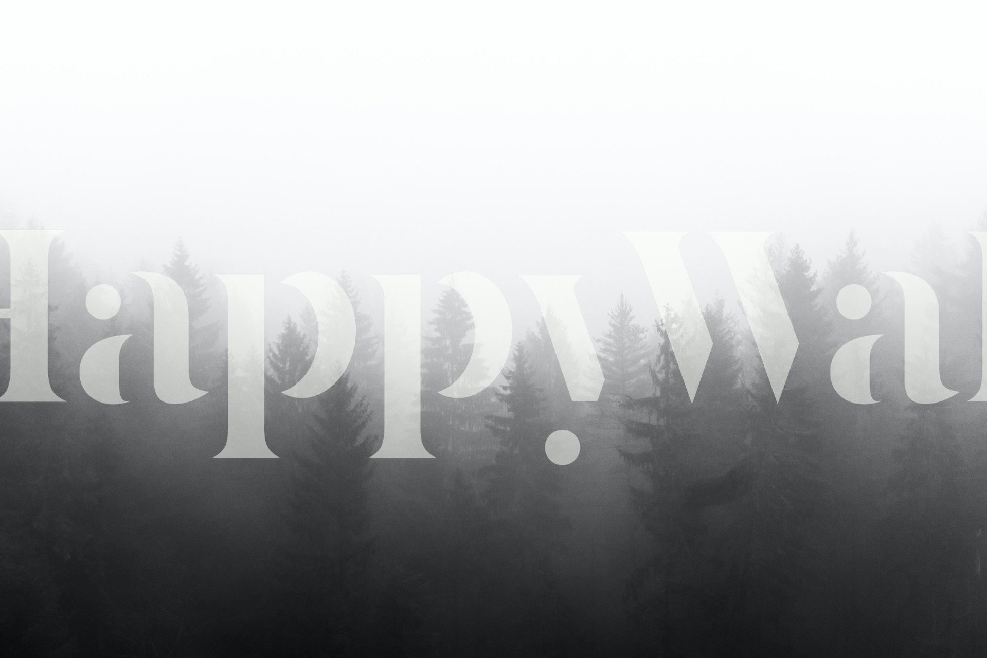 Misty black and white forest tapet i rummet