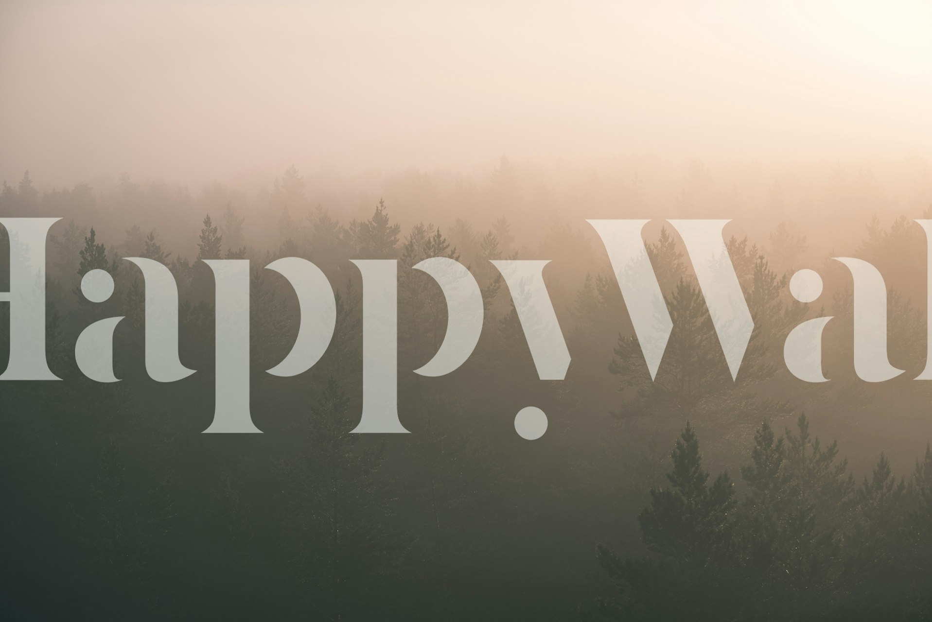 Tapeta Majestic forest sunrise u sobi