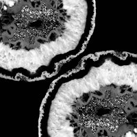 Gray Black White Agate 7 ταπετσαρία