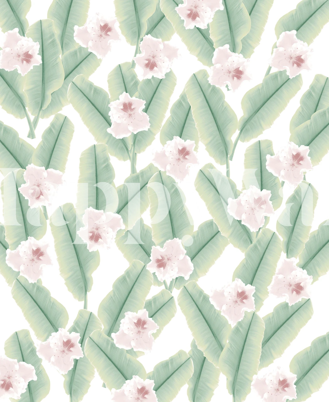 Tropical banana leaves and pink flowers on white background wallpaper