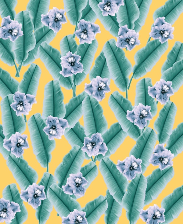 Banana Leaves Flower 2