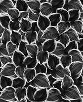 Black Leaves Dream 1 ταπετσαρία