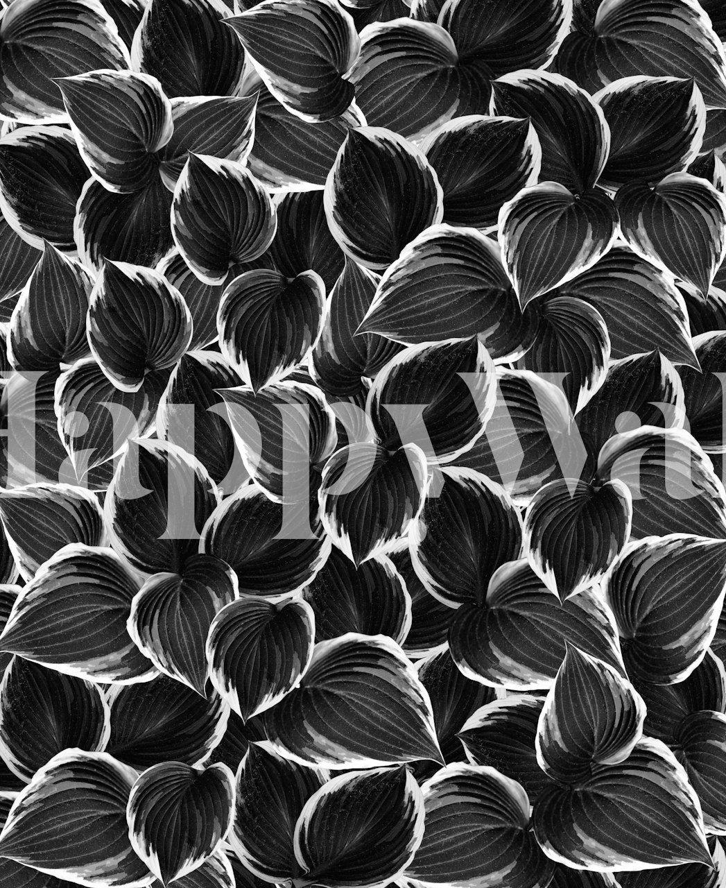 Black Leaves Dream tapetdesign