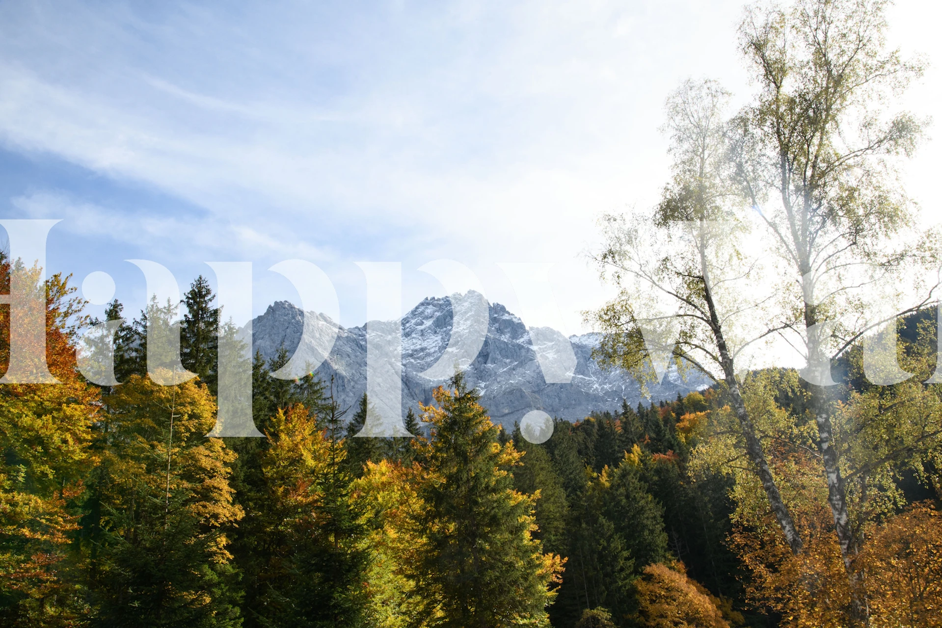 Mountain Tree Bliss wallpaper in a room