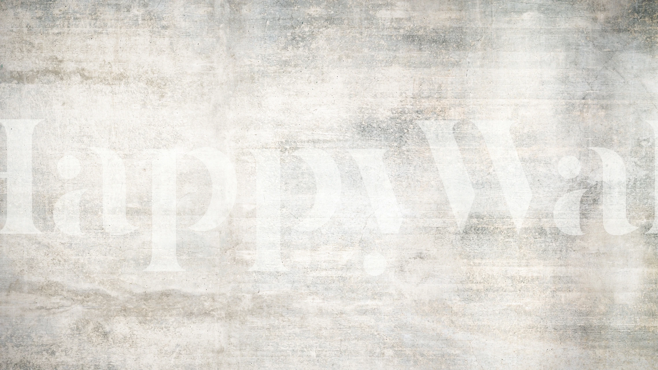 Gray concrete textured wallpaper in neutral tones