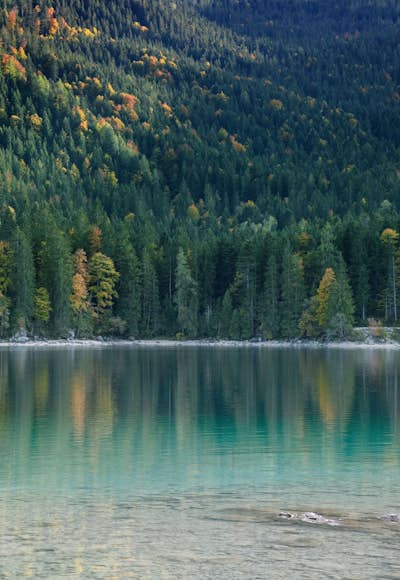 Τοιχογραφία