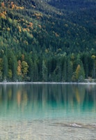 Tree Reflection in Lake 1 papiers peint
