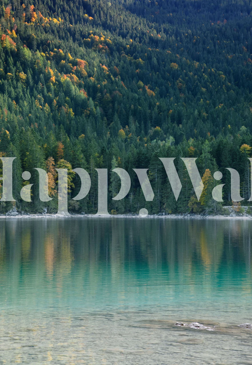 Papel pintado Tree Reflection in Lake 1 en una habitación vibrante