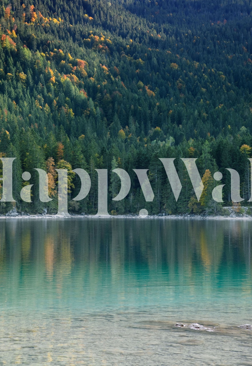 Tree reflection wallpaper in a vibrant room