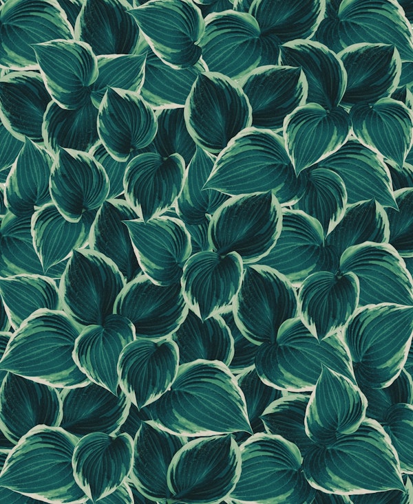 Green Leaves Dream 1