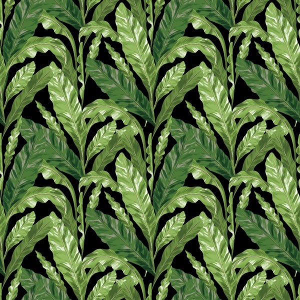 Black Tropical Leaves