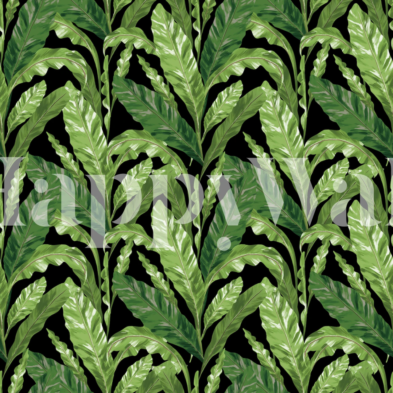 Tropical leaves pattern in green shades on black wallpaper